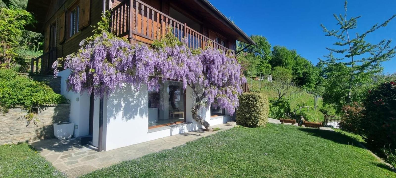 Chalet Sophie - Luxury Chalet Roletto Exterior foto